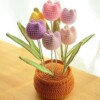 7 Crochet Flower Pot Free Patterns