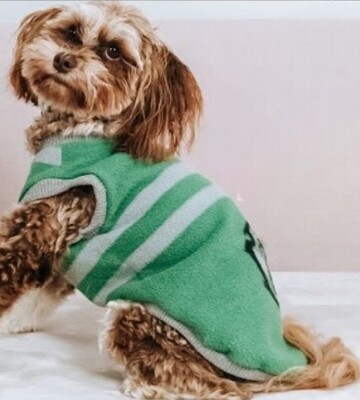 7 Dog Sweater Free Sewing Patterns