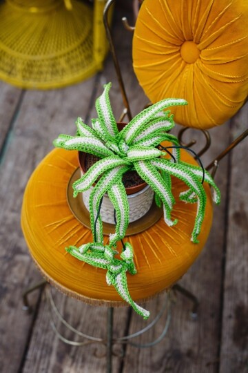 11 Tropical Plants Free Crochet Patterns
