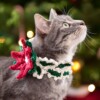 14 Pet Collar Free Crochet Patterns