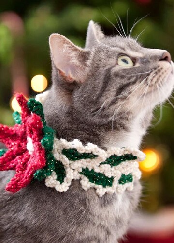 14 Pet Collar Free Crochet Patterns