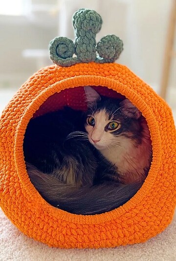 16 Crochet Cat Bed Free Patterns