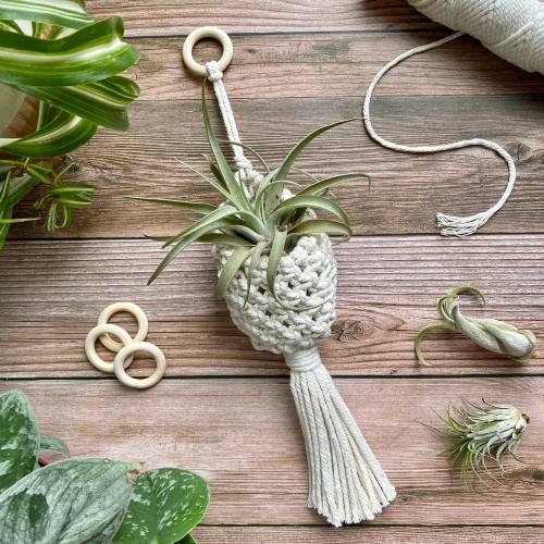 DIY Macrame Air Plant Pod