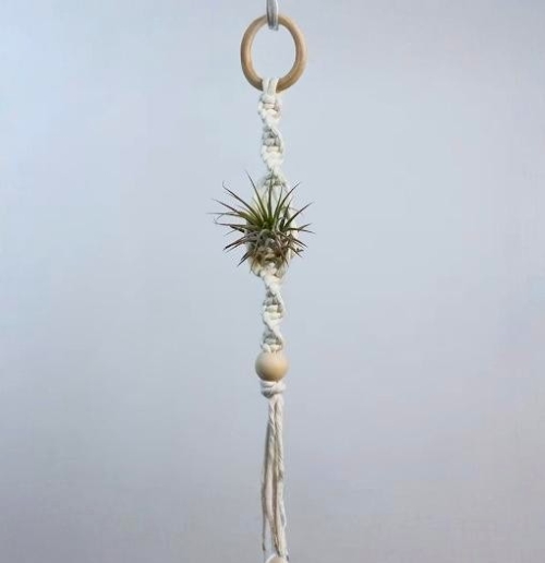 DIY Unique Macrame Air Plant Holder (1)