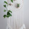 7 Macrame Air Plant Hanger Free Patterns