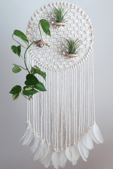7 Macrame Air Plant Hanger Free Patterns