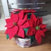 11 Crochet Poinsettia Home Decor Free Patterns