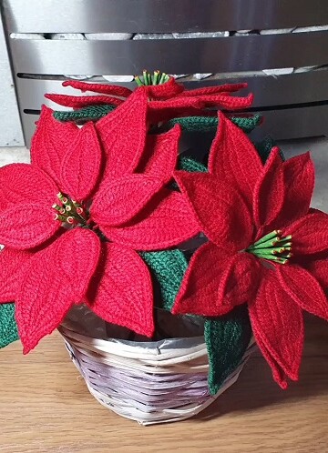 11 Crochet Poinsettia Home Decor Free Patterns