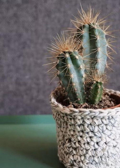 DIY Crochet Flower Pot Pattern Ideas 8
