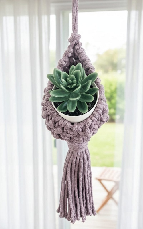 DIY Air Plant Hanger | Macrame Pod