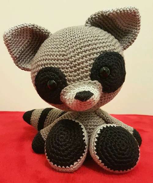 The Silent Raccoon