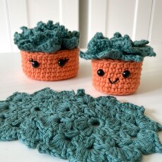 7 Crochet Plant Coasters Free Patterns