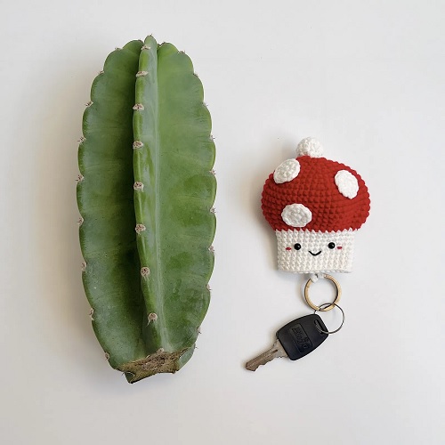 Mushroom Key Cover