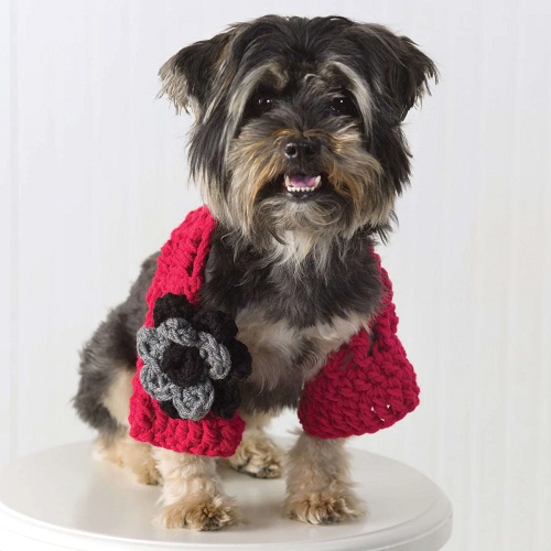 Doggie Shrug Pattern