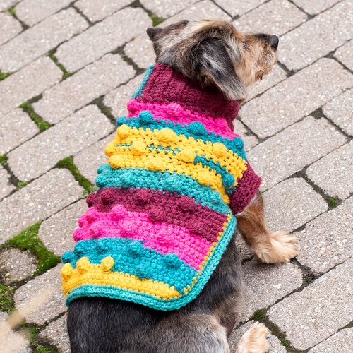 Bobble Dog Sweater