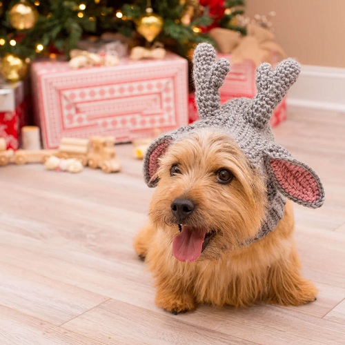 Doggie Deer Snood