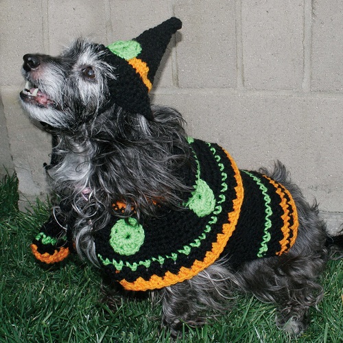 Dog's Witch Costume