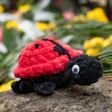 14 Crochet Ladybug Amigurumi Free Patterns